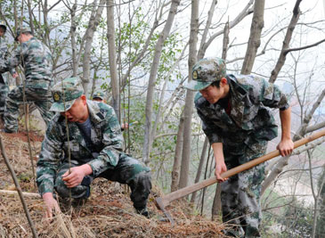 植樹節公司組織員工植樹